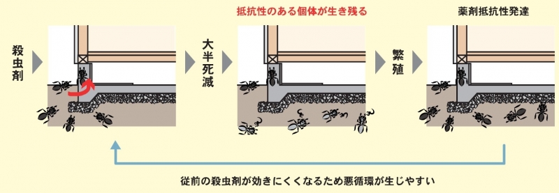 messageImage_1745141072850.jpg